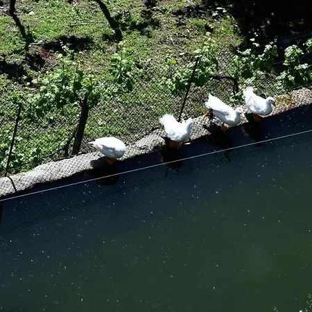 Casa De Caneiro Сasa de vacaciones Cabeceiras de Basto