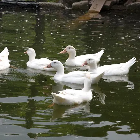 Casa De Caneiro بيت للعطل