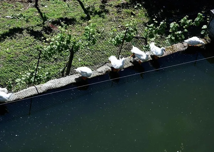 Casa De Caneiro Dom wakacyjny Cabeceiras de Basto