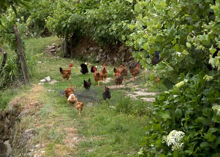Casa De Caneiro Nyaraló