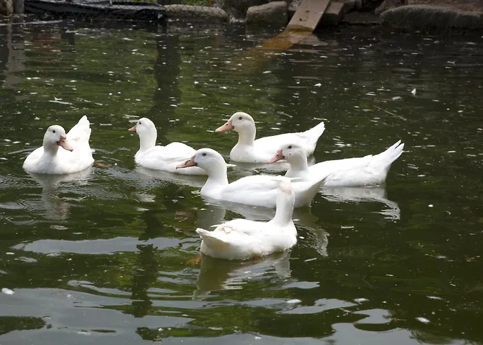 Casa De Caneiro Dom wakacyjny