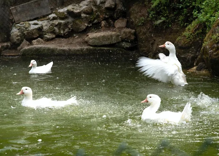 Nyaraló Casa De Caneiro Cabeceiras de Basto